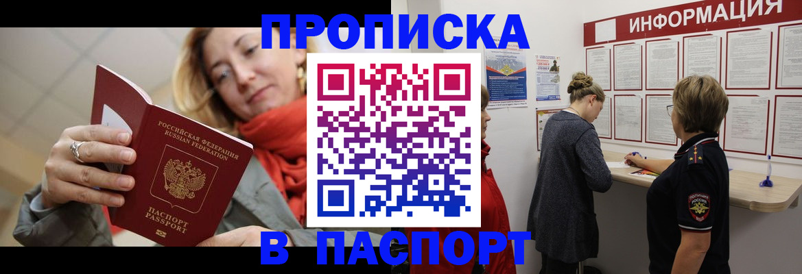 прописка поиск в Кингисеппе